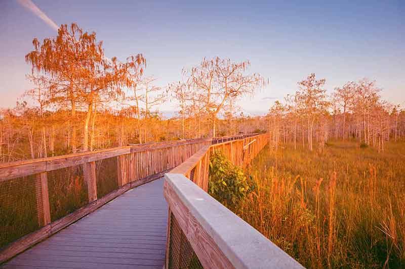 best national parks in east coast boardwalk in Everglades National Park