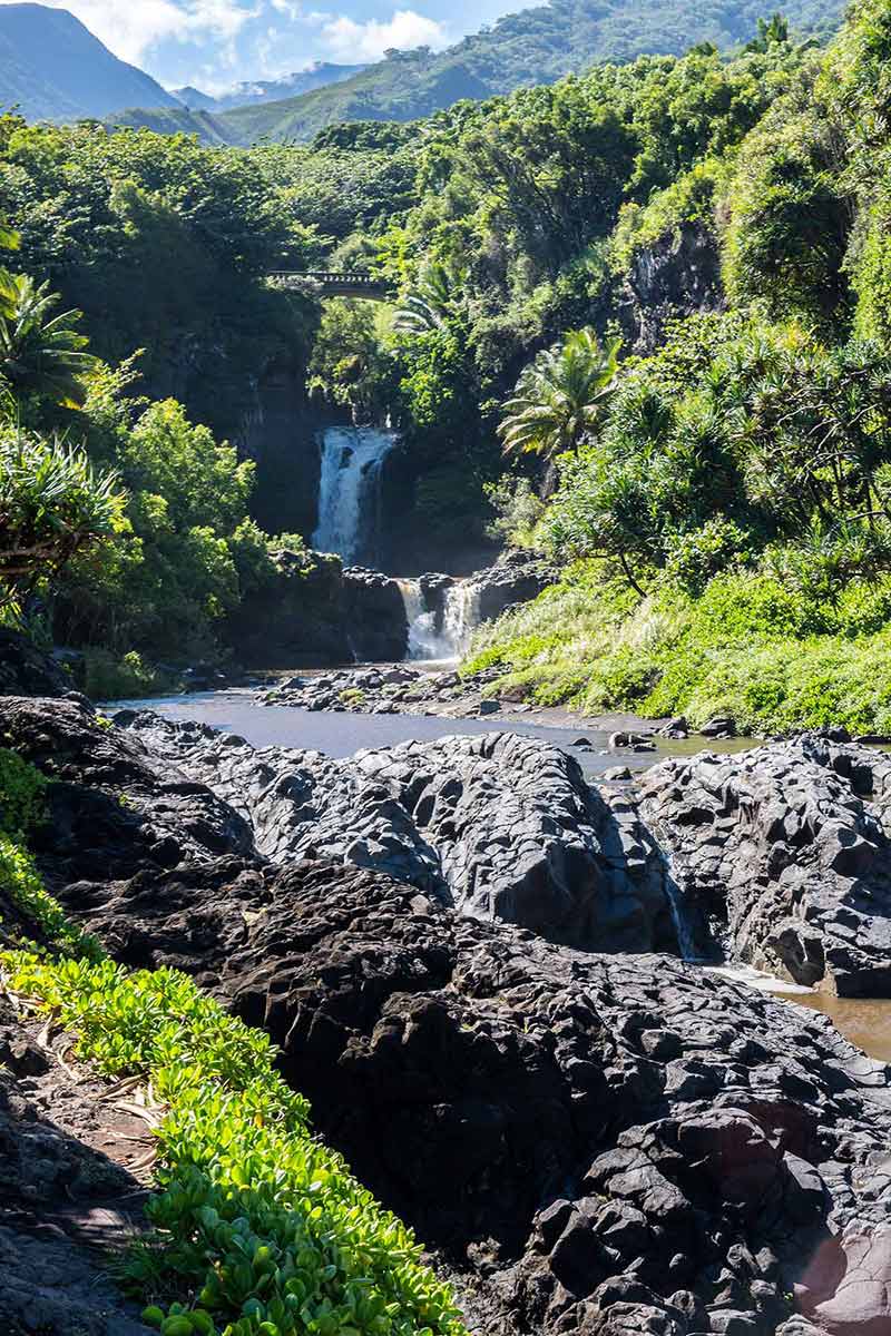 best national parks in hawaii greenery around a waterfall