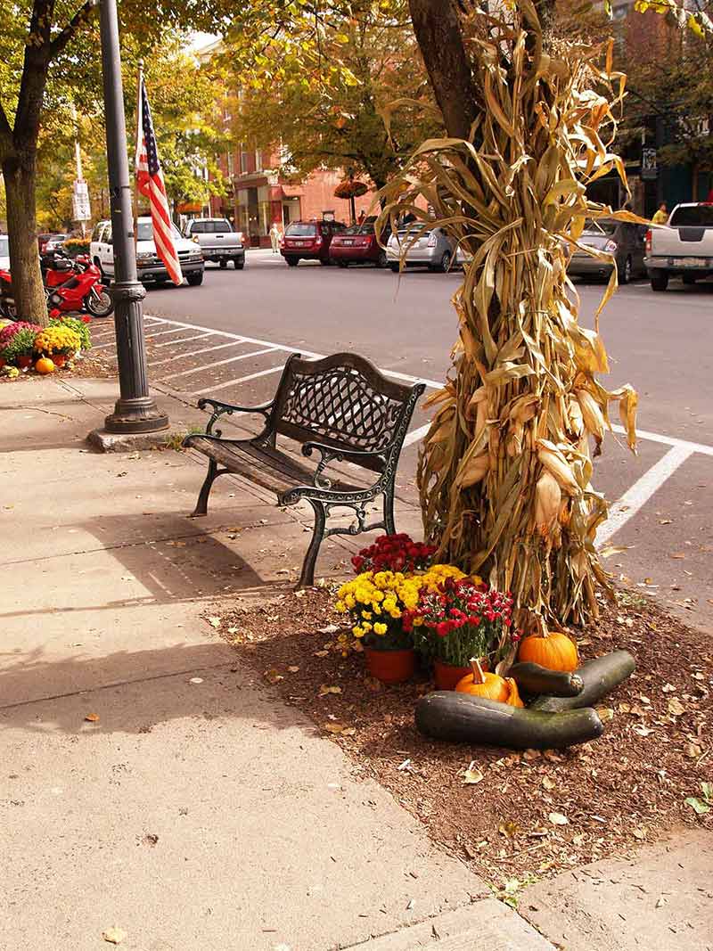 sidewalk bench decorated for the fall