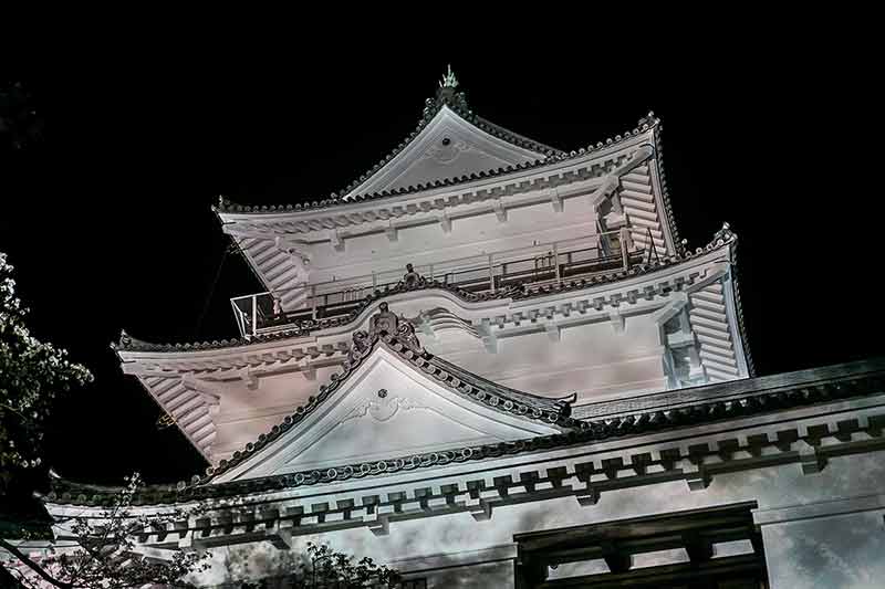 Odawara Castle And Night Sakura