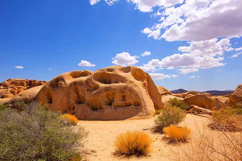 best things to do in joshua tree