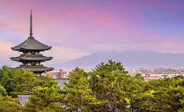 20 things to do in Nara that feel pure magic Five Story Pagoda Kofukuji Temple At Nara