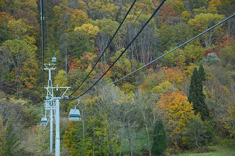 Cable Car In Akita With Autumn