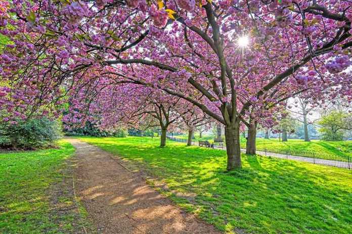 London Inh Spring 20 Things To Do In London In Spring In 2026