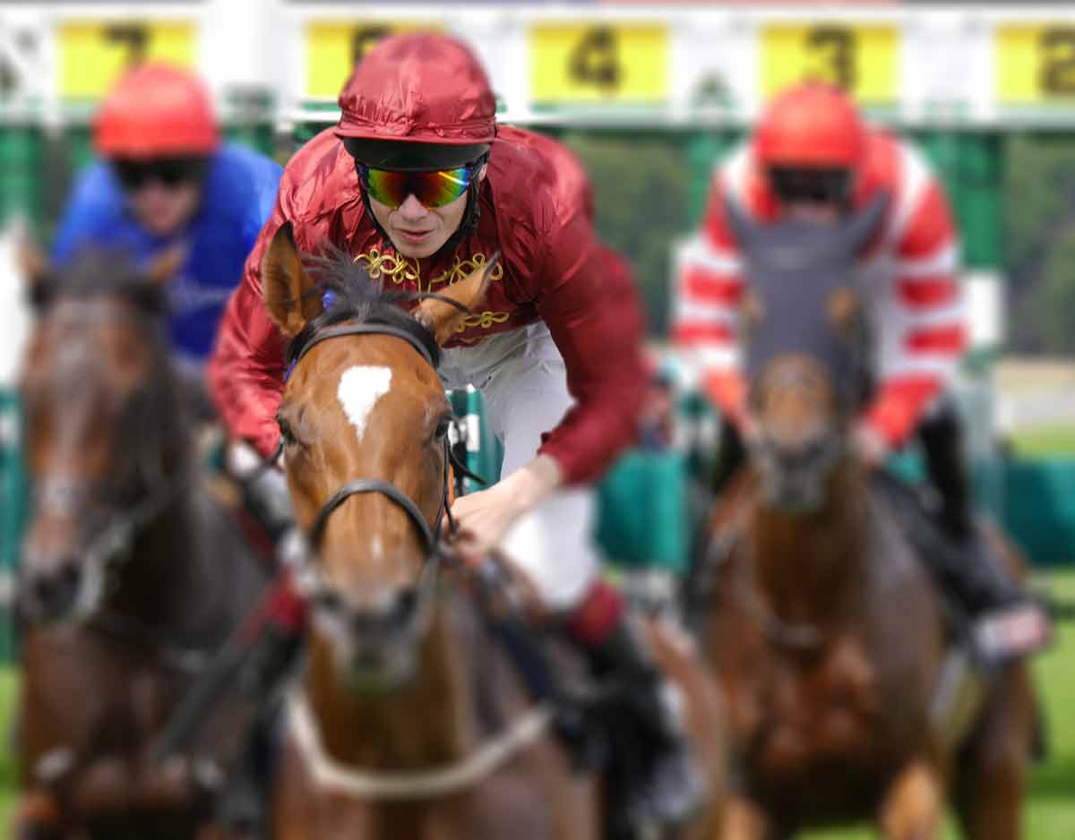 best things to do in york racecourse