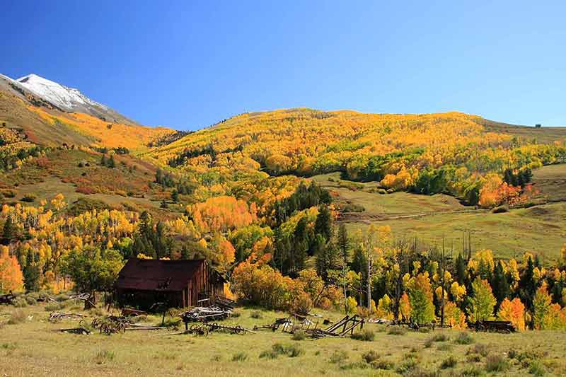 best time of the year to visit colorado old barn near Telluride surrounded by fall colours