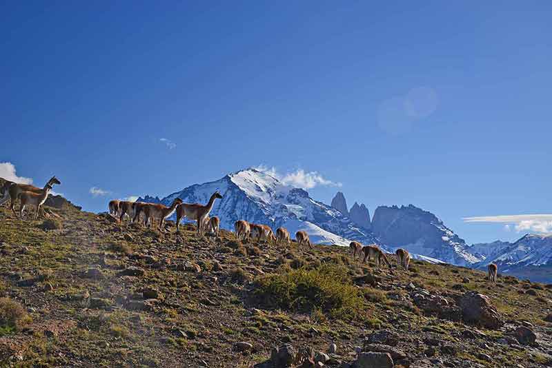 best time of year to visit patagonia chile