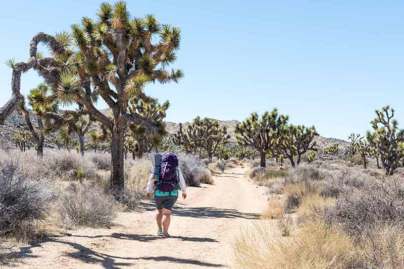 best time to visit California Joshua Tree hiker carrying backpack along a trail