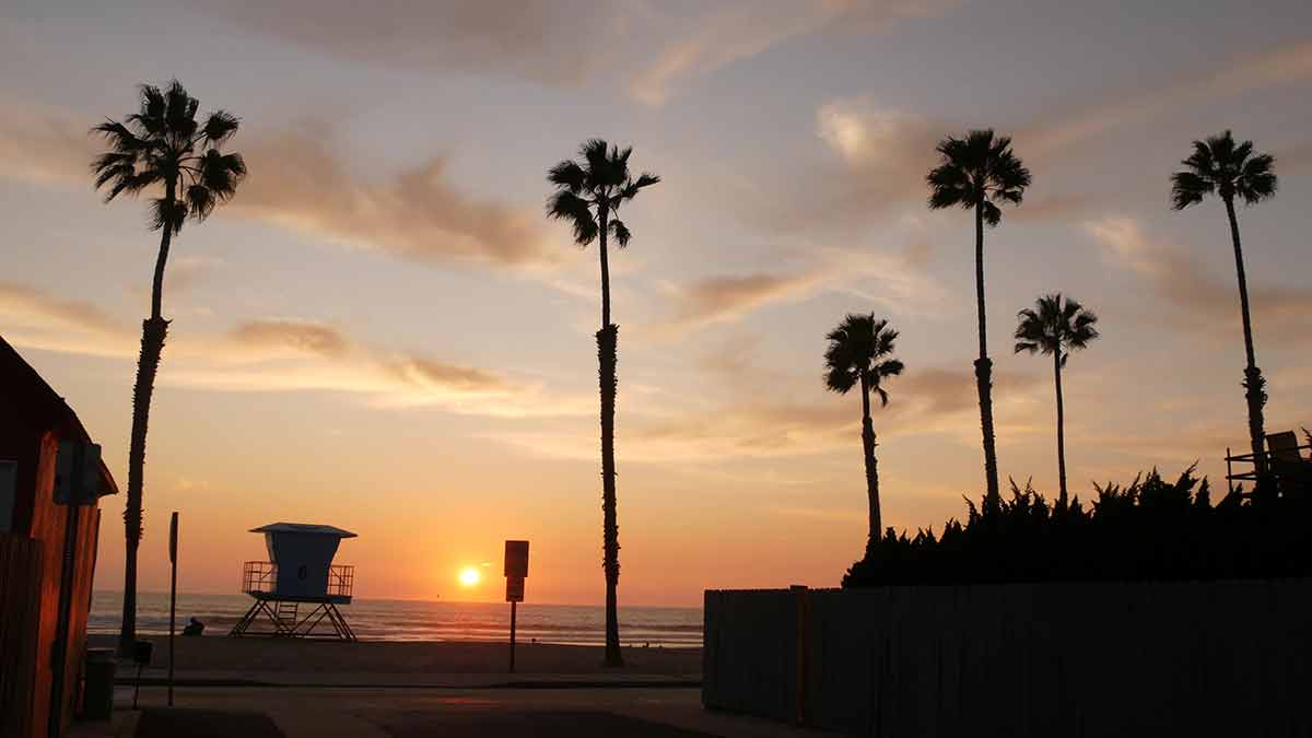 best time to visit California Los Angeles sunset on the beach with tall palms in silhouette