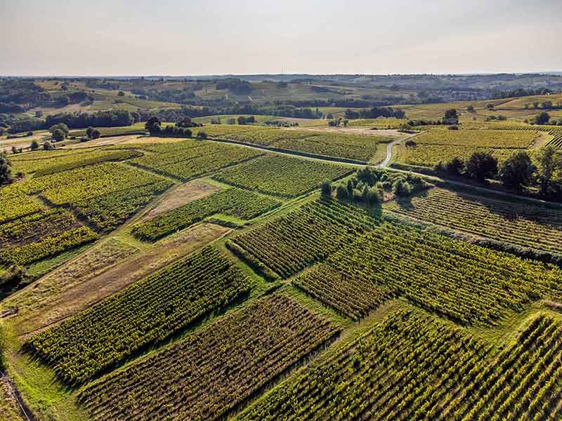 best time to visit bordeaux france Aerial view, Vineyard Sunrise in summer, Sainte Croix du Mont, Bordeaux Vineyard, Gironde, France