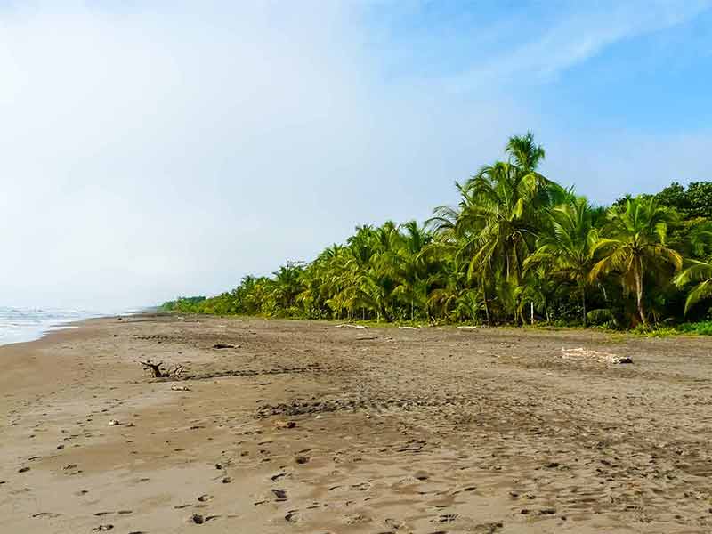 best time to visit costa rica 2021