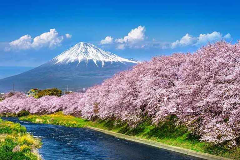 Best Time To Visit Japan In 2024