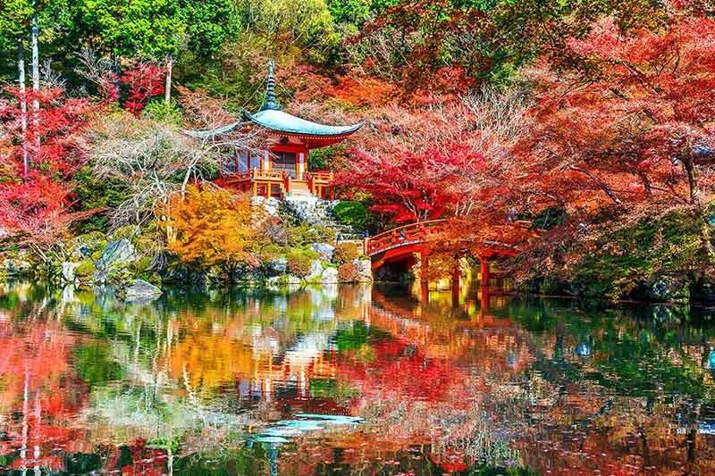 best time to visit japan in fall Kyoto's Daigoji temple