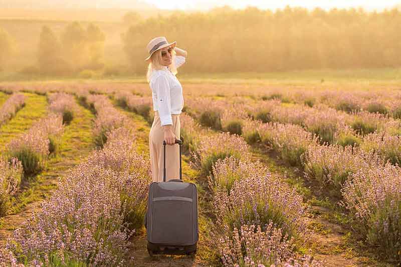 best time to visit lavender fields in france Woman with suitcase in her hand in a lavender field in the summer afternoon.