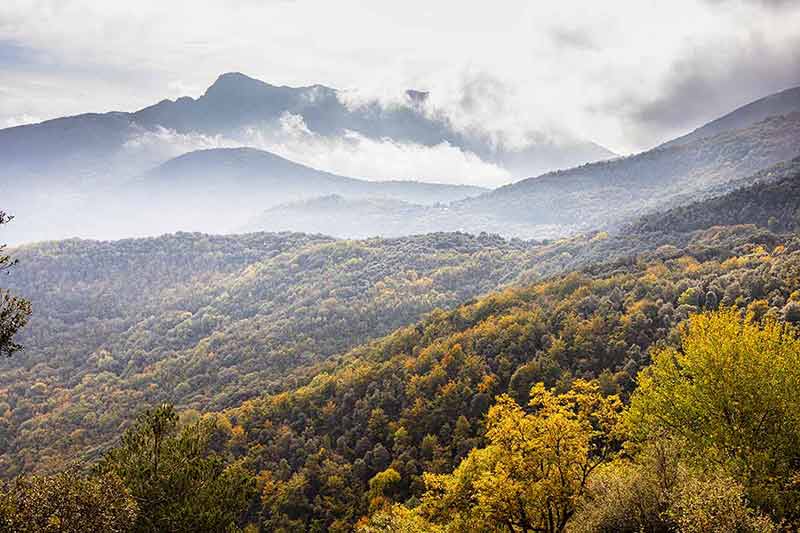 best time to visit spain montseny in autumn