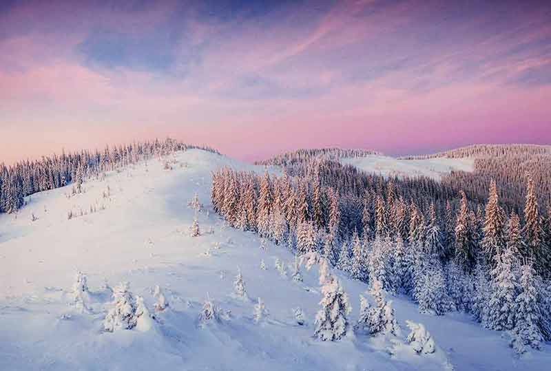 best winter time places to visit in austria fir trees on a snowy slope with mauve sky