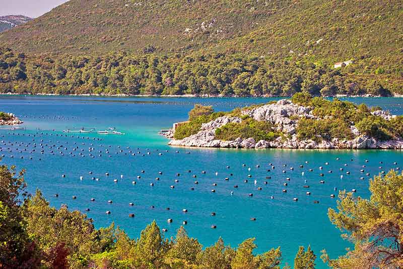 boat day trips from dubrovnik