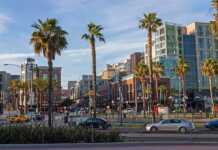 Boston To Los Angeles: The Ultimate Coast-To-Coast USA Road Trip the streets of San Diego with tall palms