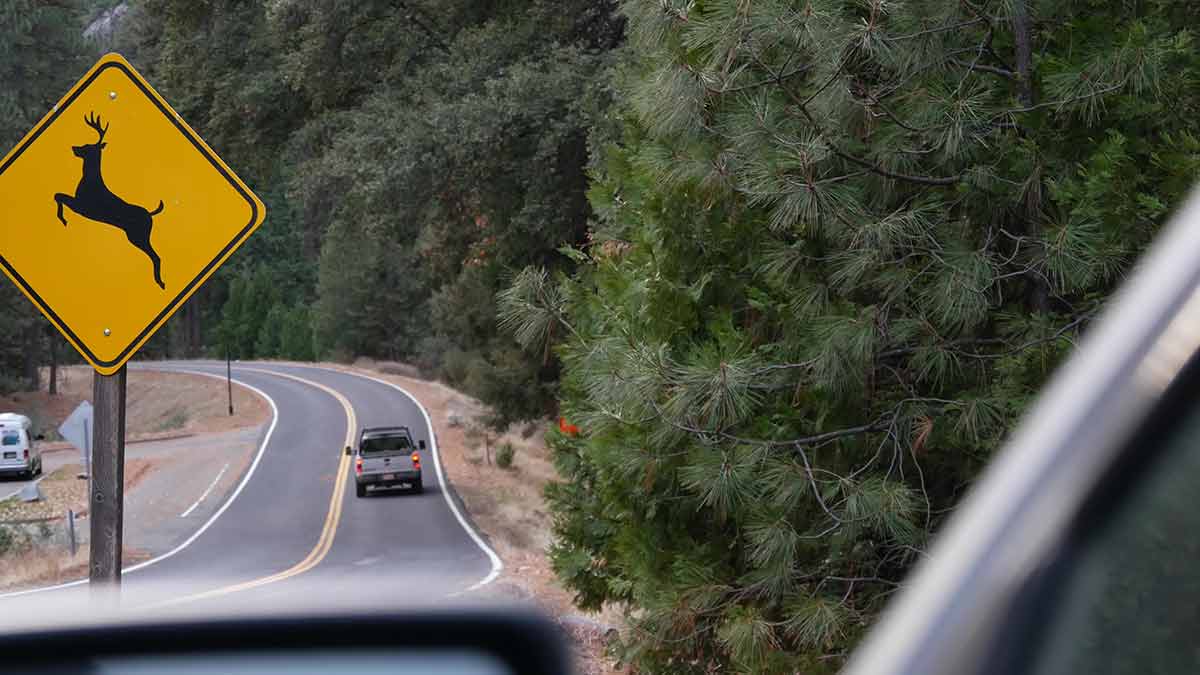 Deer crossing warning yellow sign, California USA. yosemite national park