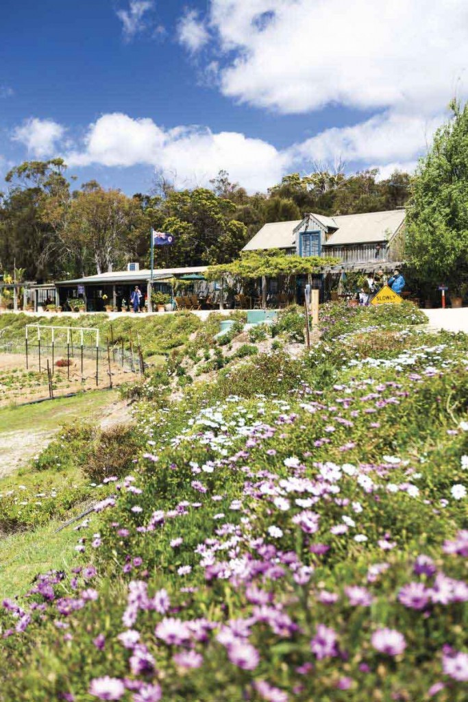 rose garden tasmania