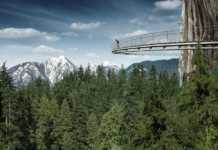 20 British Columbia Experiences You’ll Never Forget things to do in british columbia