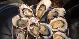 Bruny Island oysters