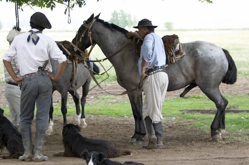 two gauchos from argentina with their horses and dogs