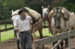 gauchos argentina