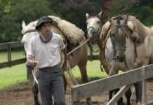 gauchos argentina