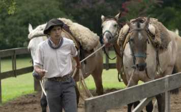 gauchos argentina