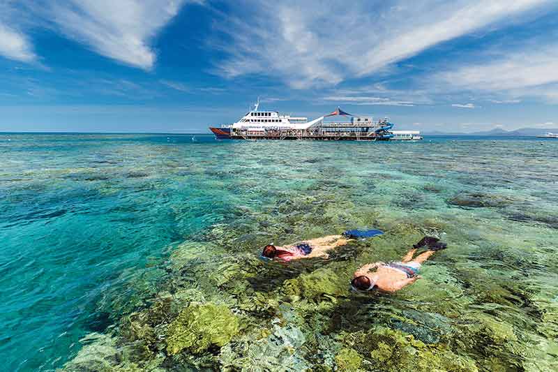 cairns reef tours