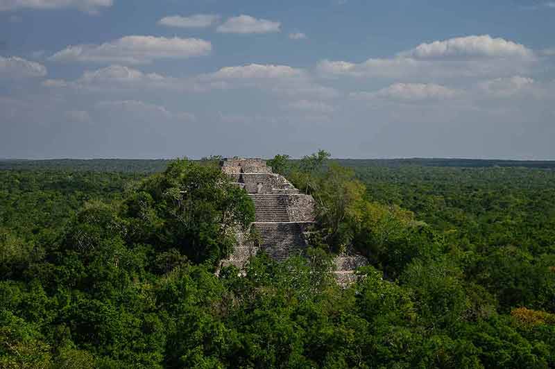 calakmul mayan ruins surrounded by lush jungle