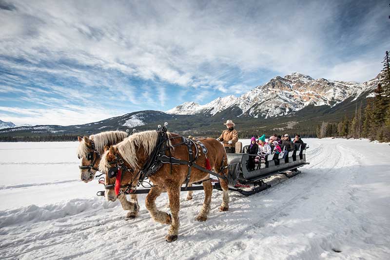 horse drawn sleigh canada in winter