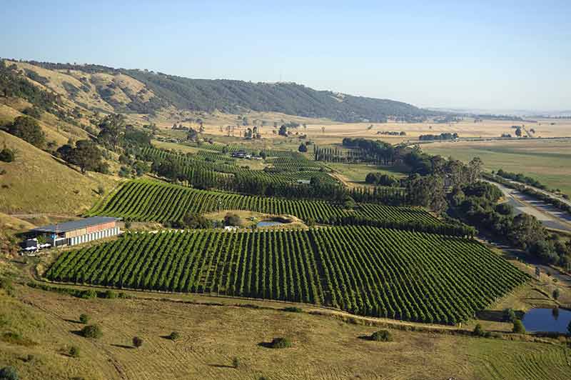 Lerida estate vineyards from the sky