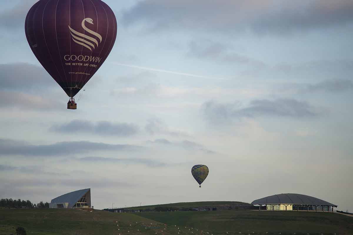 balloons over the national arboretum