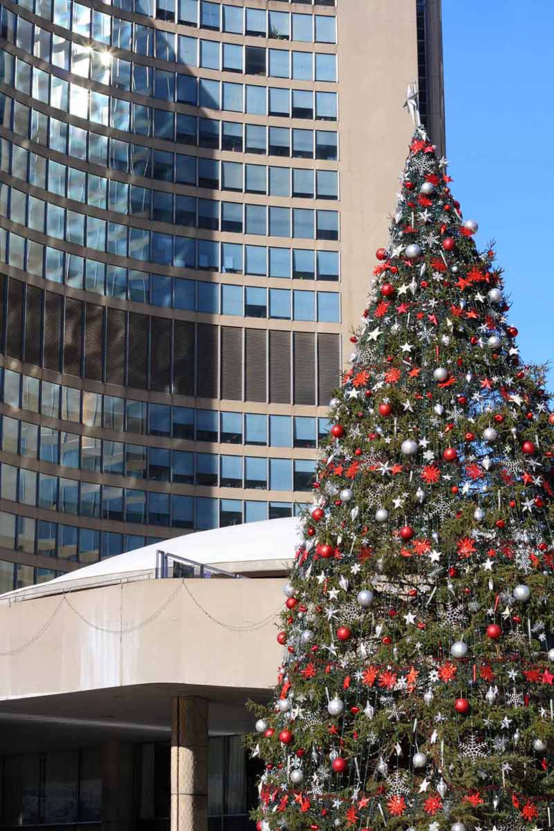 Christmas At City Hall, Toronto