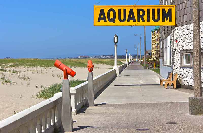 The Boardwalk And The Aquarium Store Seaside OR