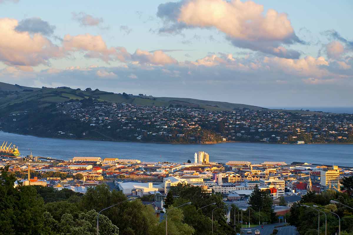 aerial view of Dunedin at dusk