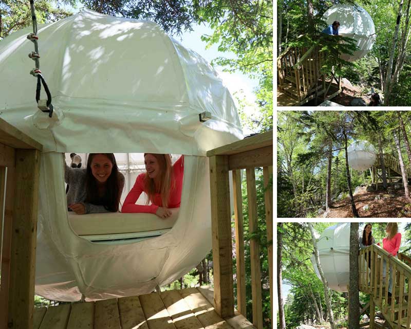 cocoon tree bed