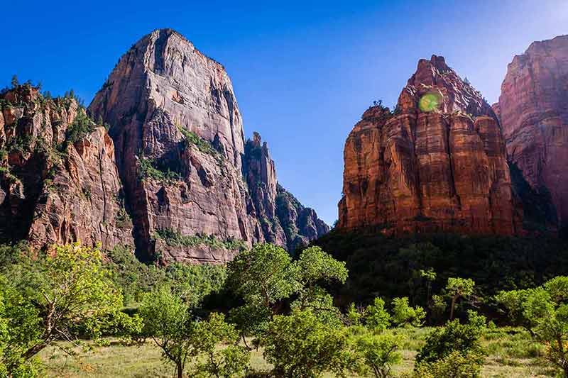 cool things to do in zion national park