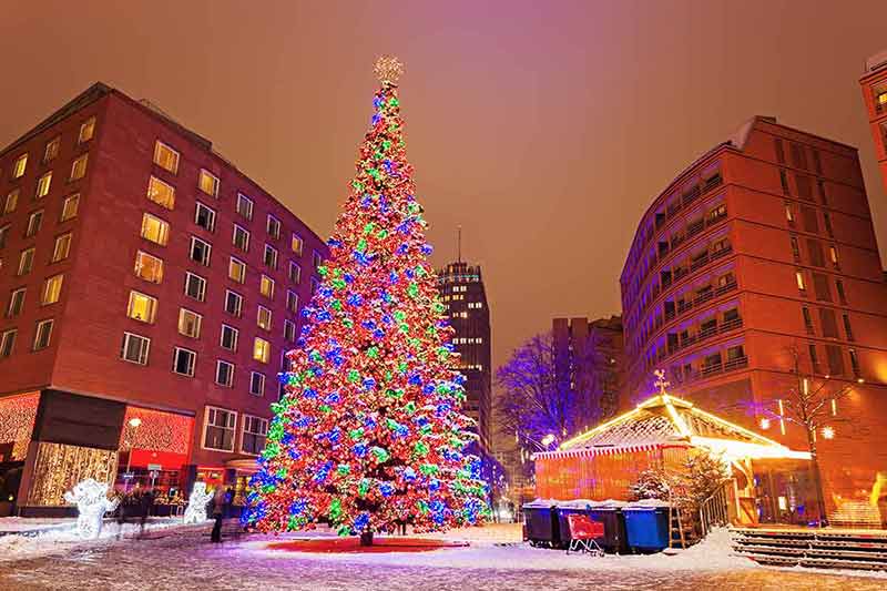 cost of hotel per night at berlin christmas tree with lights and snow on the ground