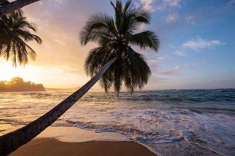costa rica best time to visit palm tree and beach beautiful tropical Pacific Ocean coast in Costa Rica.