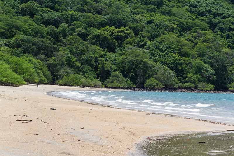 costa rica caribbean beaches nascascolo beach and lush forest