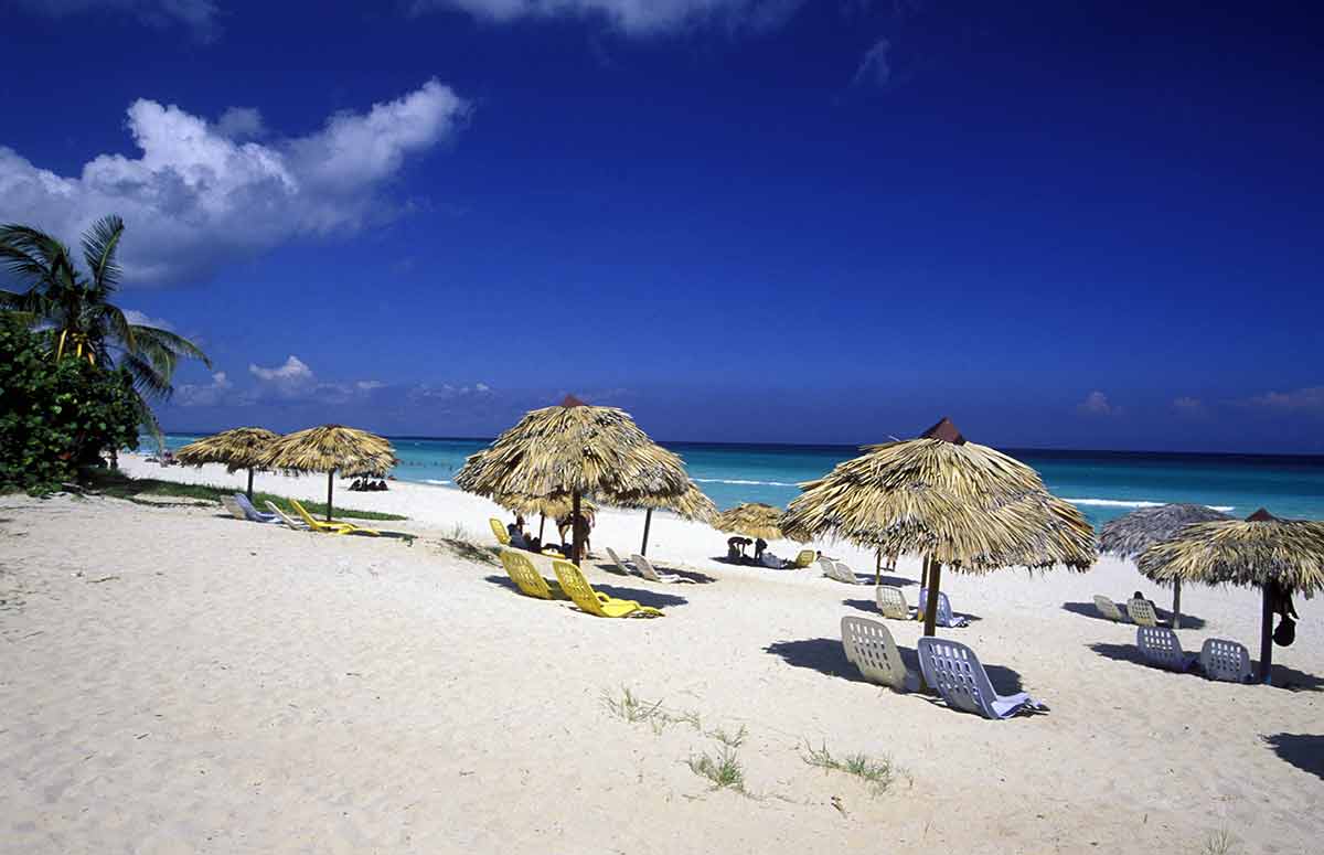cuba varadero beach palm umbrellas and lounge chairs