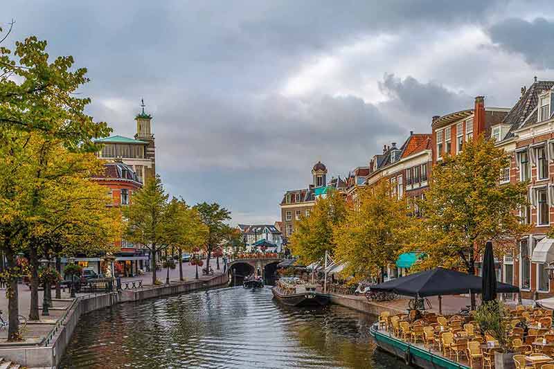View of New Rhine river in Leiden with fall leaves