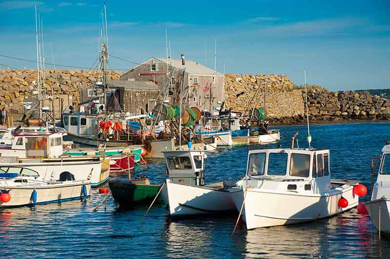 day trips from boston by train fishing boats in the harbour
