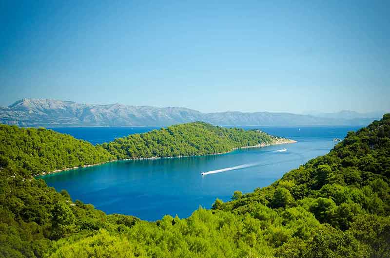 day trips from dubrovnik to mljet