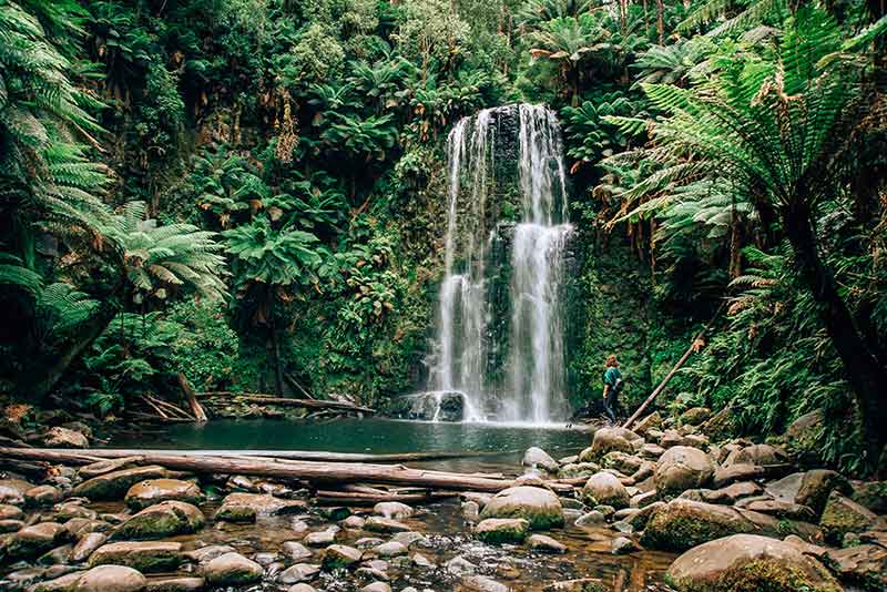 day trips from melbourne otways
