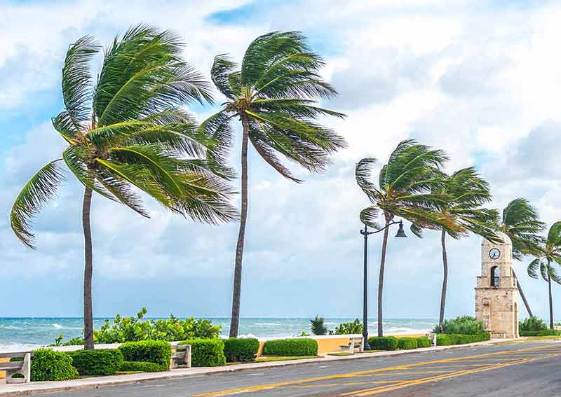 day trips from miami beach windblown palm trees and the historic clock