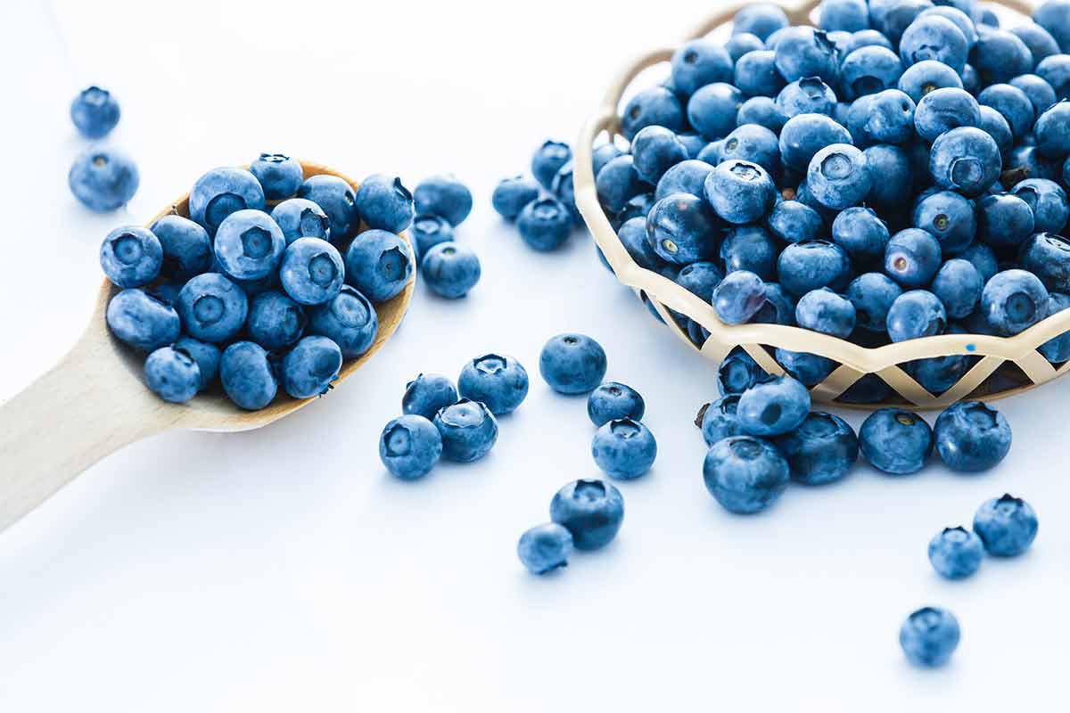 day trips from orlando florida tasty blueberries isolated on white background.